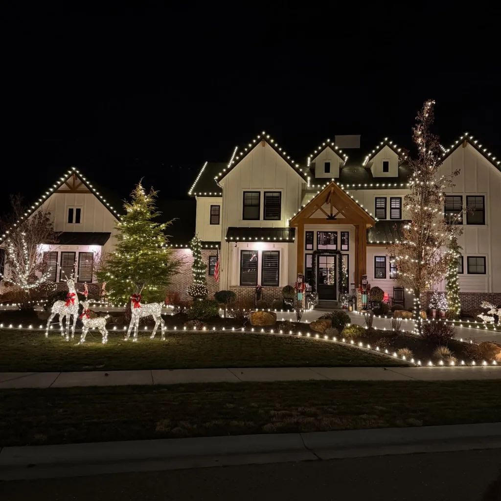 Recent JVN Christmas light installation 1 in the Twin Cities